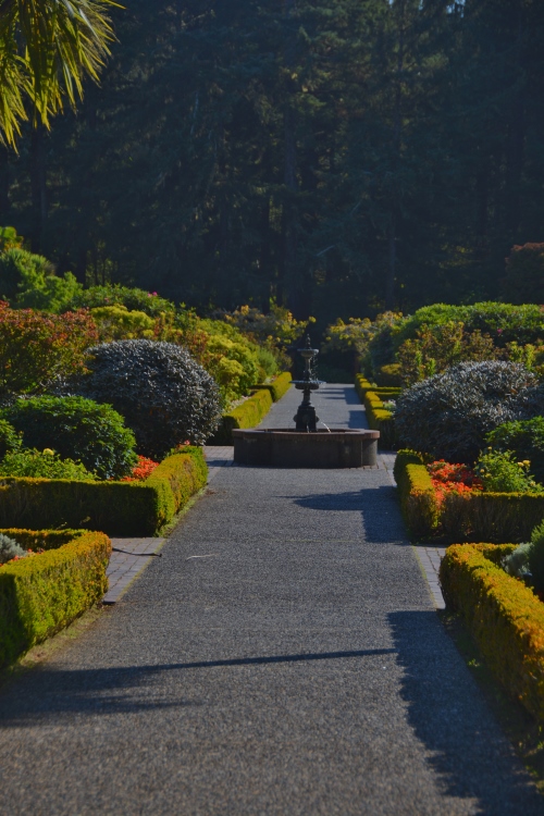 autumn-colored garden